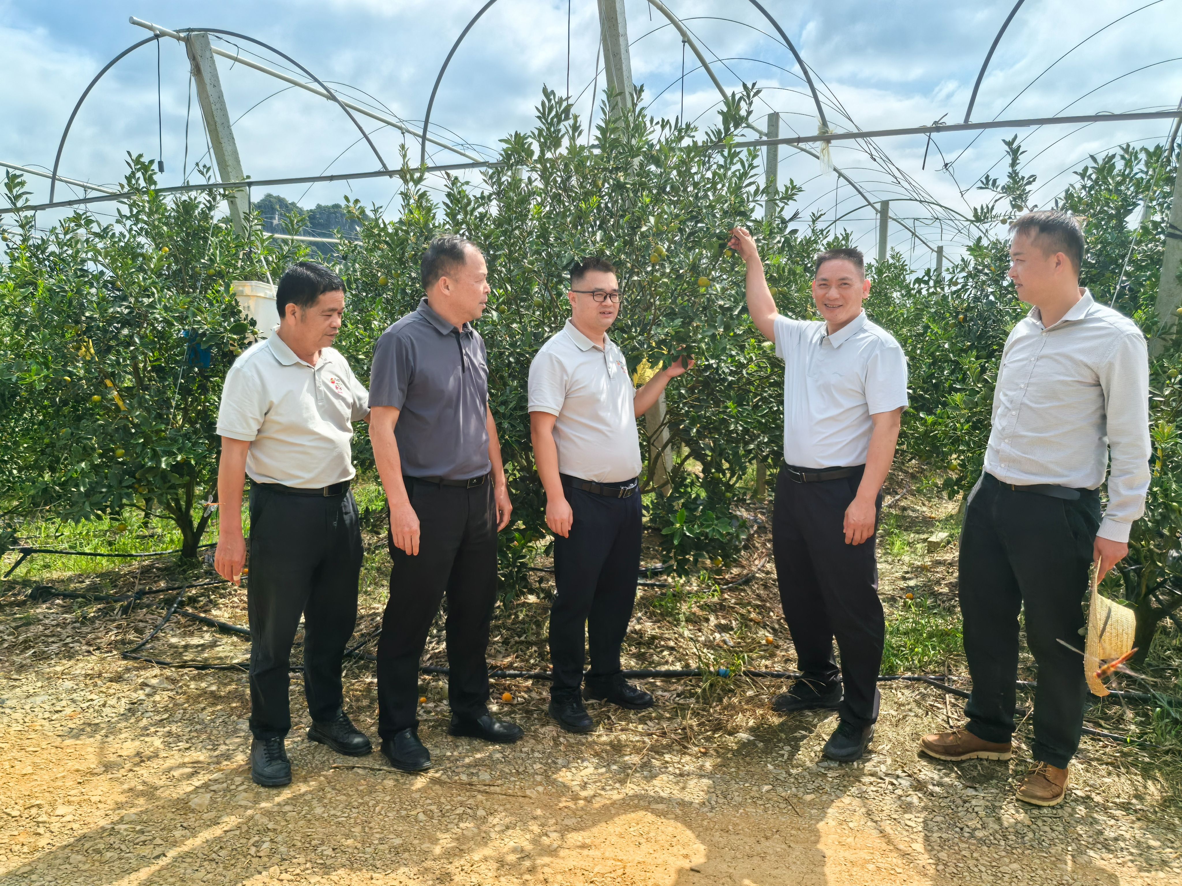 黔江農場公司考察組到金光農場公司交流